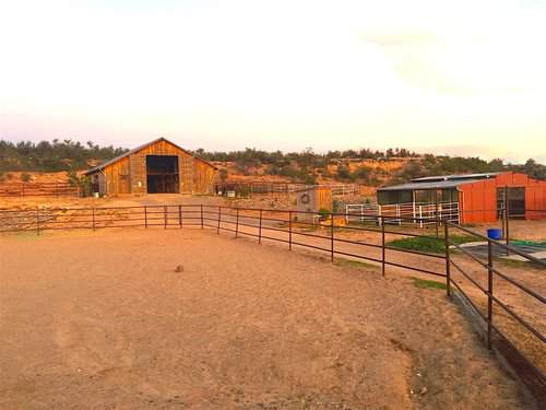 Parttime Help Needed at Horse Boarding Stable in Arizona Couples