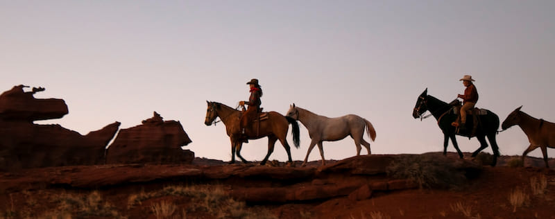Moab Horses at Hauer Ranch