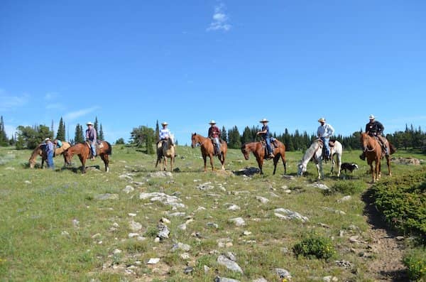 SR Cattle Company - Wyoming