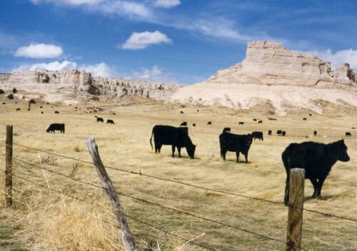Thaler Land & Livestock Co - WY