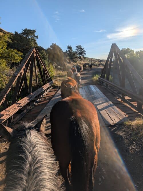 Flying X Ranch
