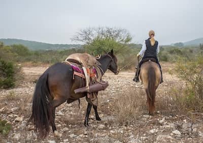 Transition Ranch TX
