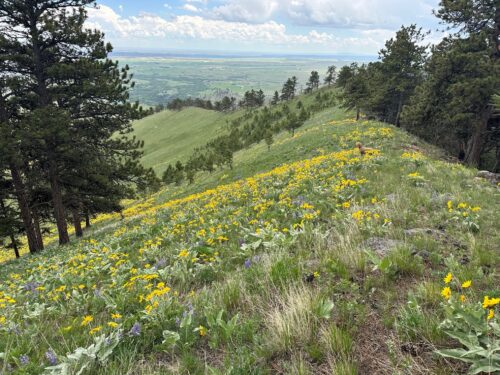 Private Wyoming Ranch
