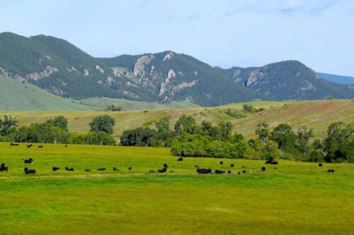 Private Wyoming Ranch
