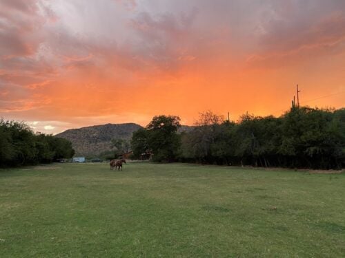 High Desert Arizona Ranch