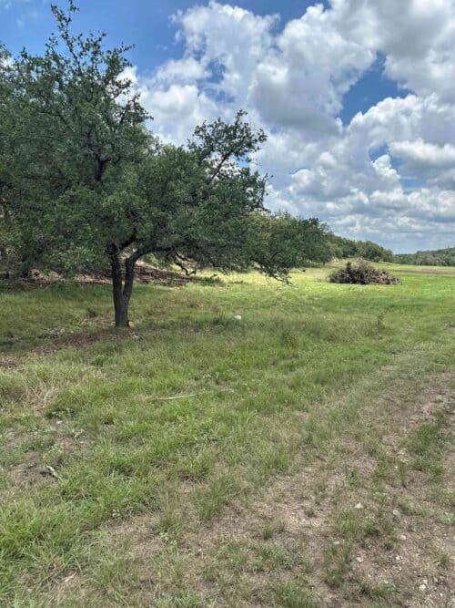 Texas Hill Country Ranch