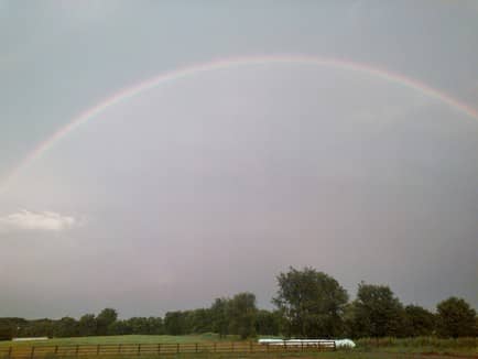 Saffire Farm TN