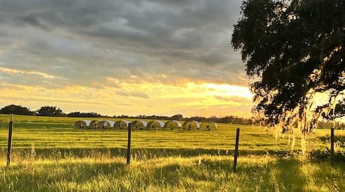 Schmoe Farm GA