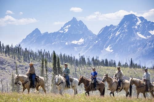 Wilderness Trails Outfitters - WY