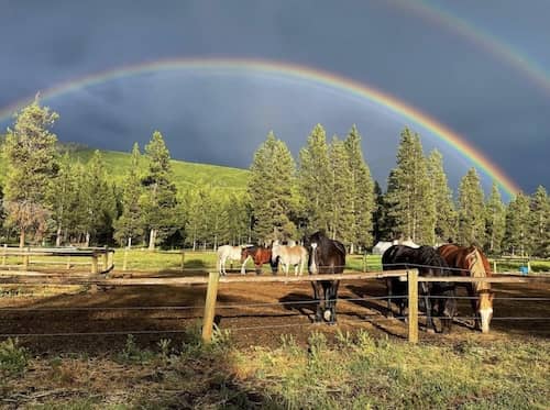 Wilderness Trails Outfitters - WY