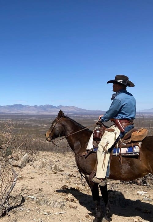 Position Wanted: Wrangler / Feedlot Pen Rider / Ranch Cowboy ...