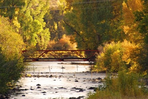 Focus Ranch - Colorado