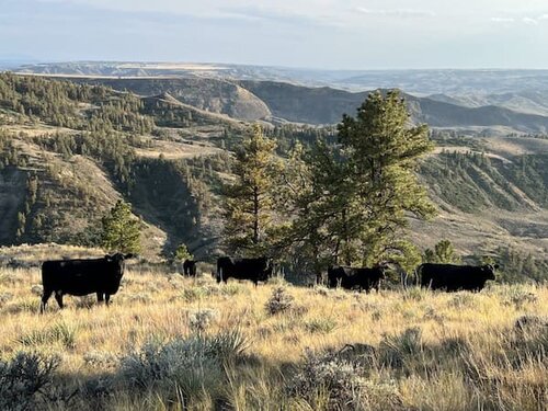 Slivka Ag Ranch Montana