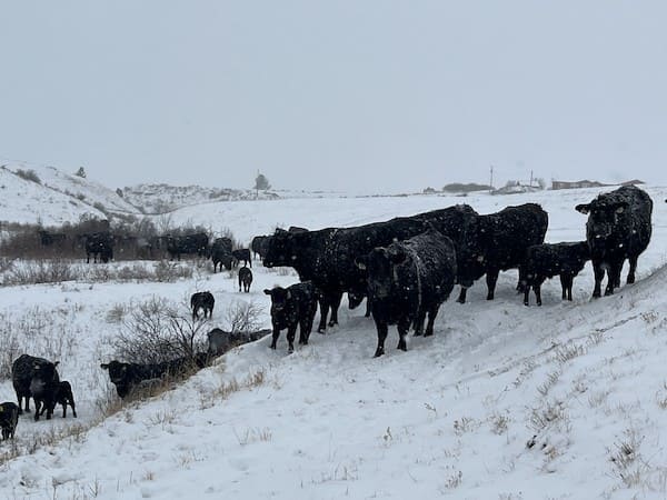 Slivka Ag Ranch Montana