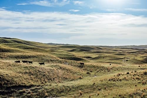 Spring Lake Ranch NE