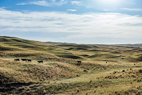 Spring Lake Ranch - Nebraska