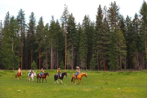 Three Bandit Ranch MT