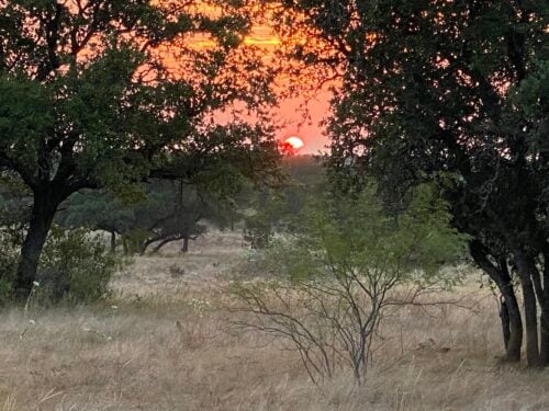 Yates Ranches TX
