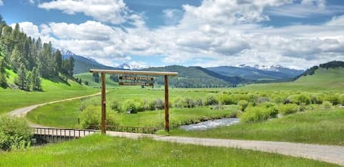 Flying D Ranch Montana