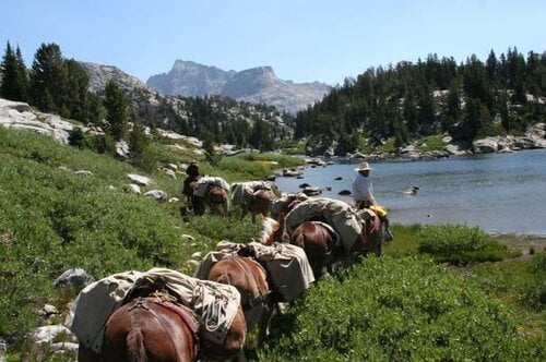 Thomson Outfitters Wyoming