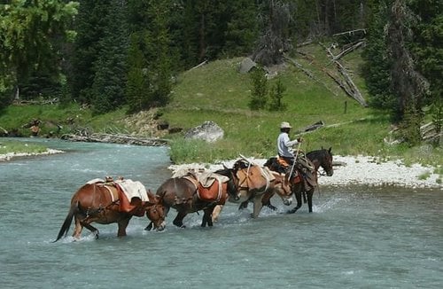 Thomson Outfitters Wyoming