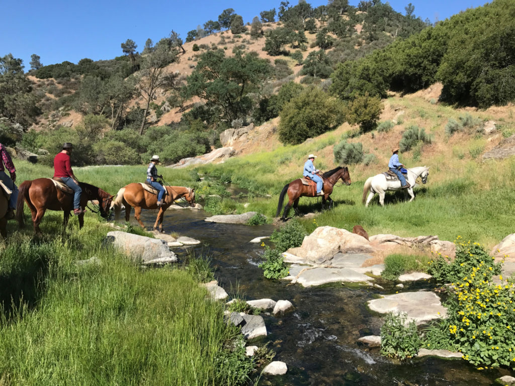 Wrangler (Trail Guide) needed at California Guest Ranch ~ Seasonal -  