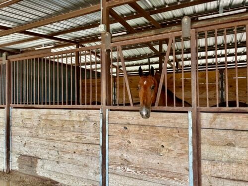 Bandera Rides LLC