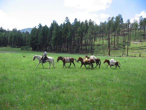 Utrail New Mexico