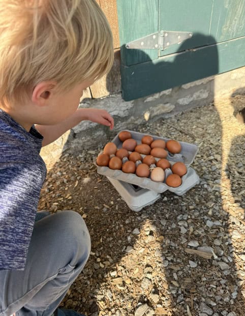 Westory Farms Missouri