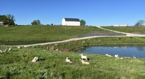 Westory Farms Missouri