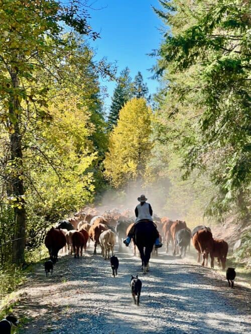 Double R Ranch - Washington