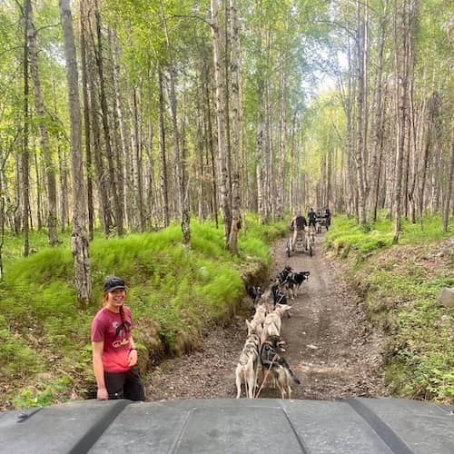 AK Sled Dog Tours