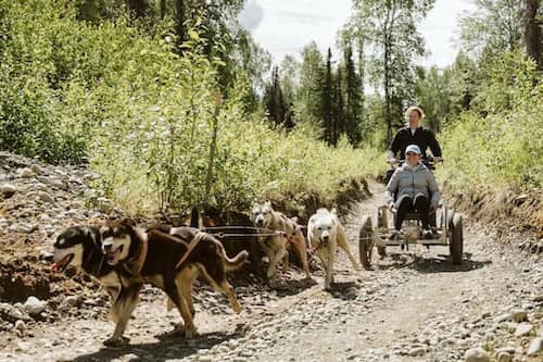 AK Sled Dog Tours