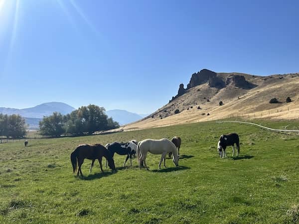Antelope Basin Ranch - MT