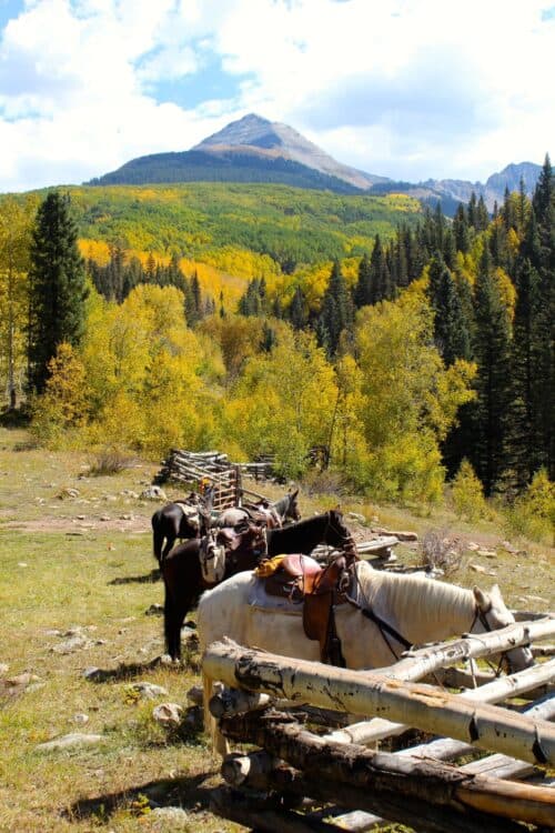 Majestic Dude Ranch Colorado