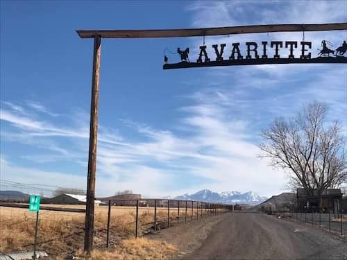 Avaritte Performance Horses Colorado
