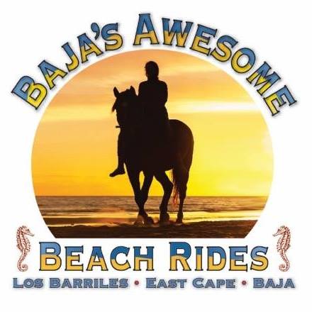 Baja's Awesome Beach Rides
