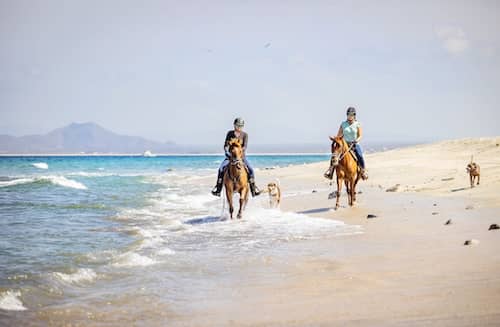 Baja's Awesome Beach Rides