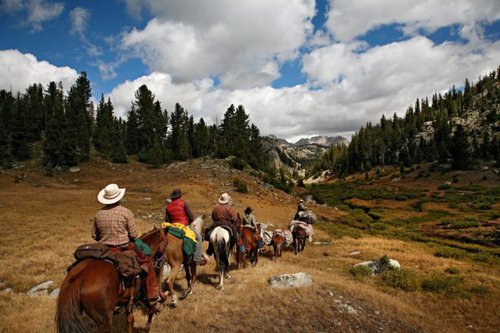 Packer / Wrangler / Camp Jack needed at Wilderness Outfitter in Pinedale, Wyoming