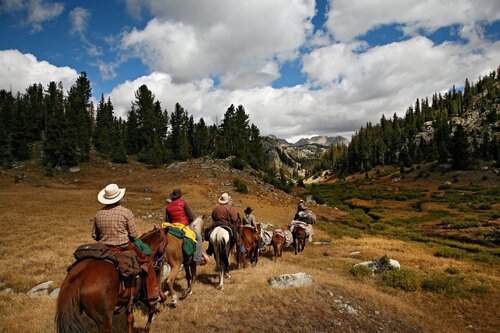 Packer / Wrangler / Camp Jack needed at Wilderness Outfitter in