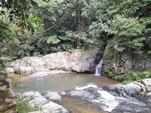 Banana Mountain Permaculture PR