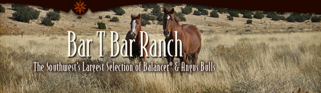 Bar T Bar Ranch
