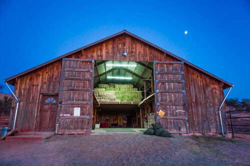 Parttime Help Needed at Horse Boarding Stable in AZ Couples