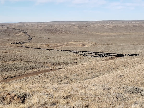 Bates Creek Cattle Company - Wyoming
