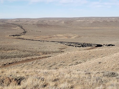 Bates Creek Cattle Company - Wyoming