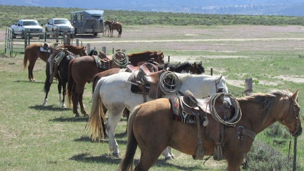 Bates Creek Cattle Company - Wyoming