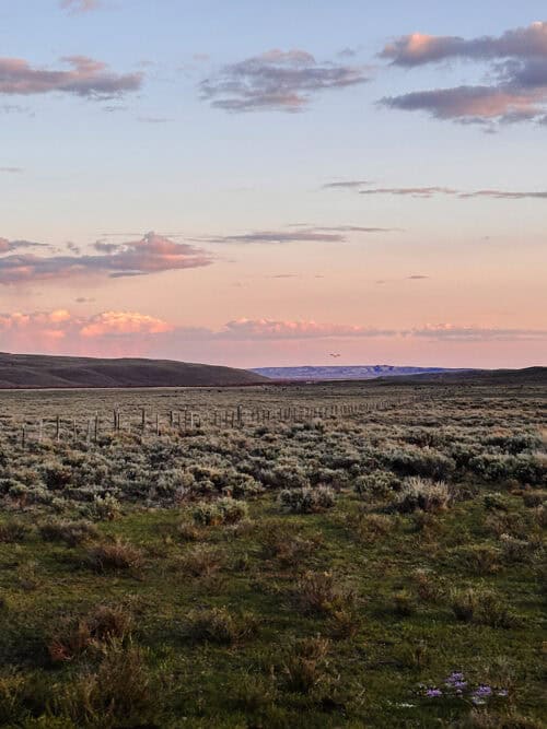 Bar Cross Ranch WY