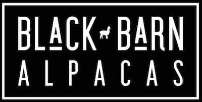 Black Barn Alpacas - Maryland