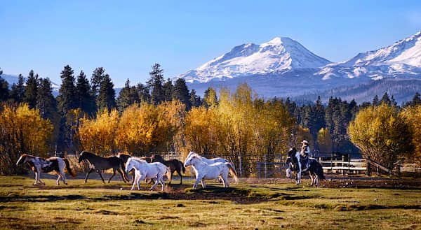 Black Butte Stables - Sisters, Oregon