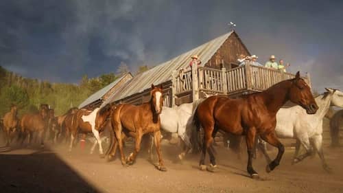 Black Mountain Ranch - Colorado